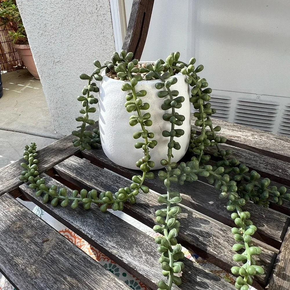 Faux String of Pearls in Face Pot